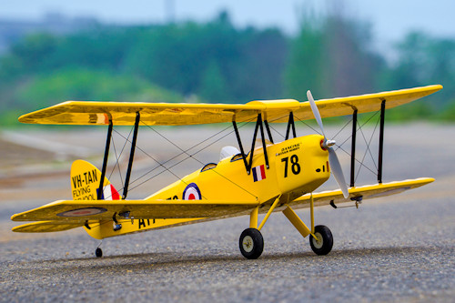 DW Tiger Moth ARTF