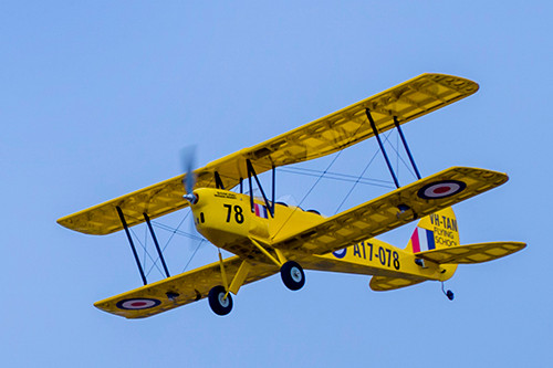 DW Tiger Moth ARTF