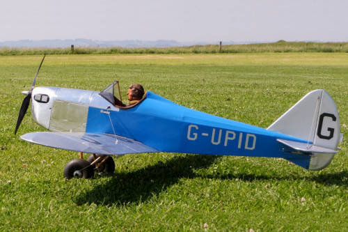 Bowers Fly Baby by Gordon Whitehead