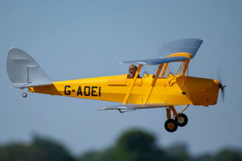 Tony Ray Tiger Moth