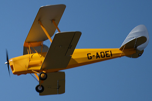 Tony Ray Tiger Moth