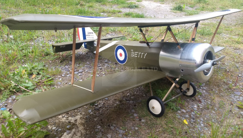 Electric Setup for DB Sport & Scale 60 Inch Sopwith Pup