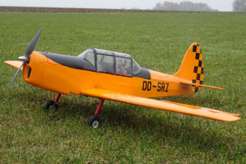 Stampe SR-7 by Peter Miller