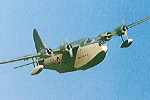 Tony Nijhuis 72" Short Sunderland